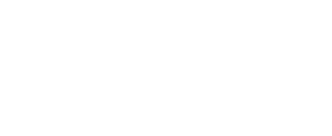 PCI DSS